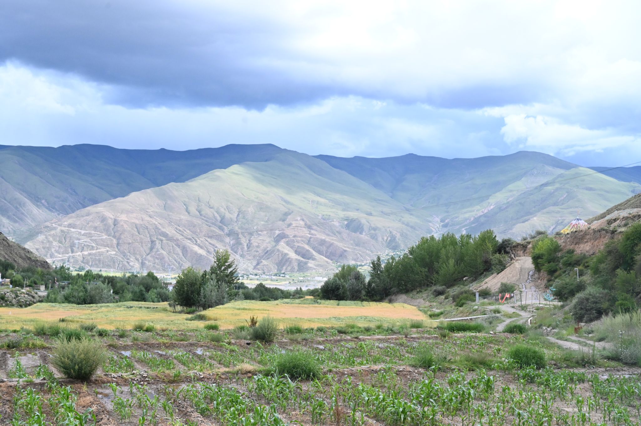 山西建投建工集團拉薩南北山曲水縣營造林先造后補工程（二期）
