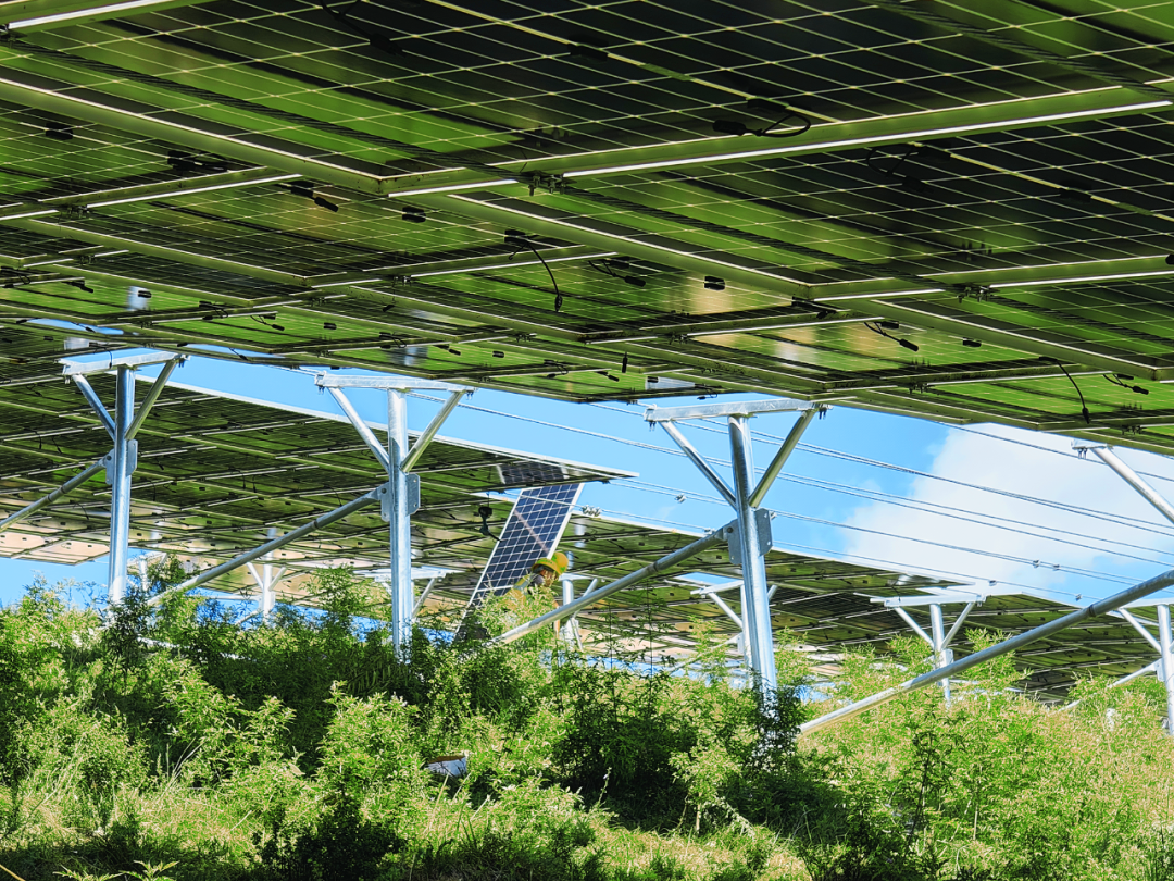 向光而行｜山西建投五建集團(tuán)以“光伏藍(lán)”賦能“生態(tài)綠”