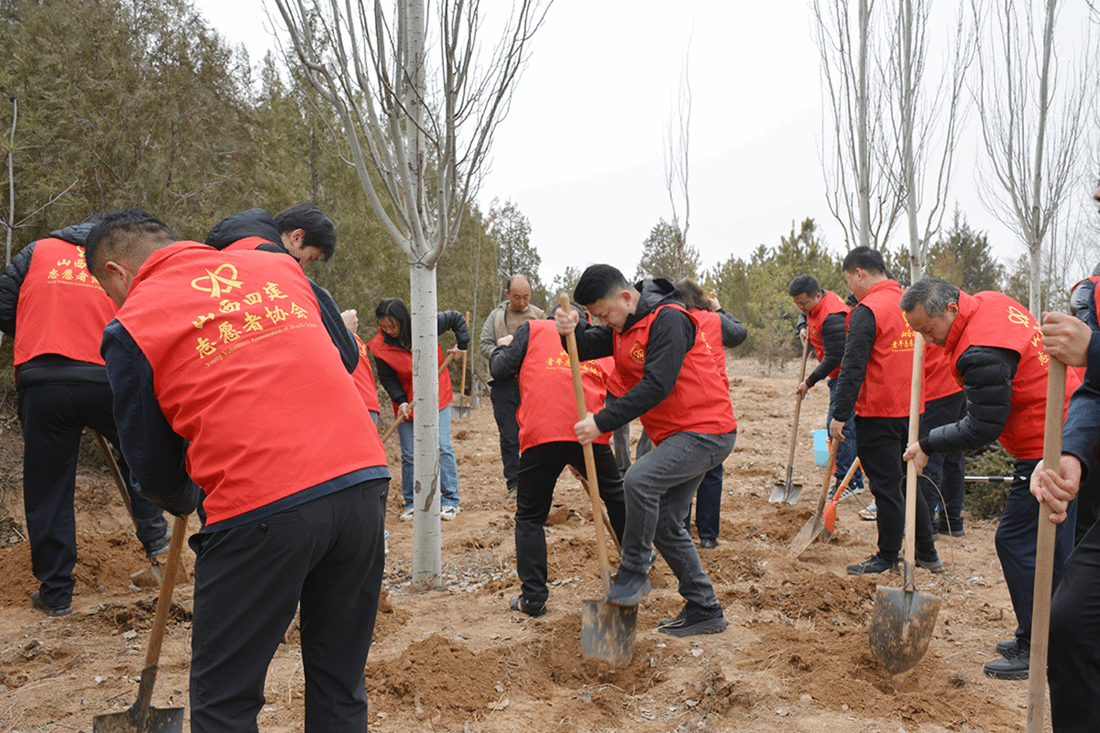 山西建投四建集團開展植樹節(jié)主題活動